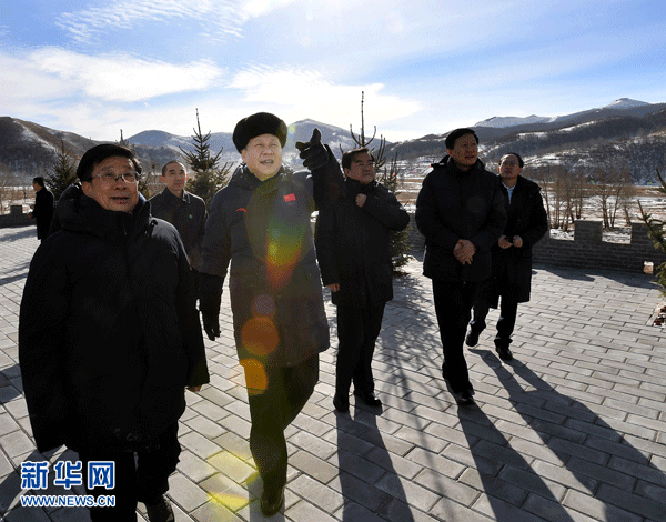 习近平解题京津冀：三“力”协同促发展